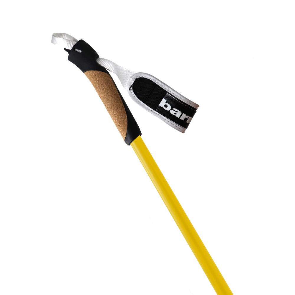 Bastones XC-09 100% carbono