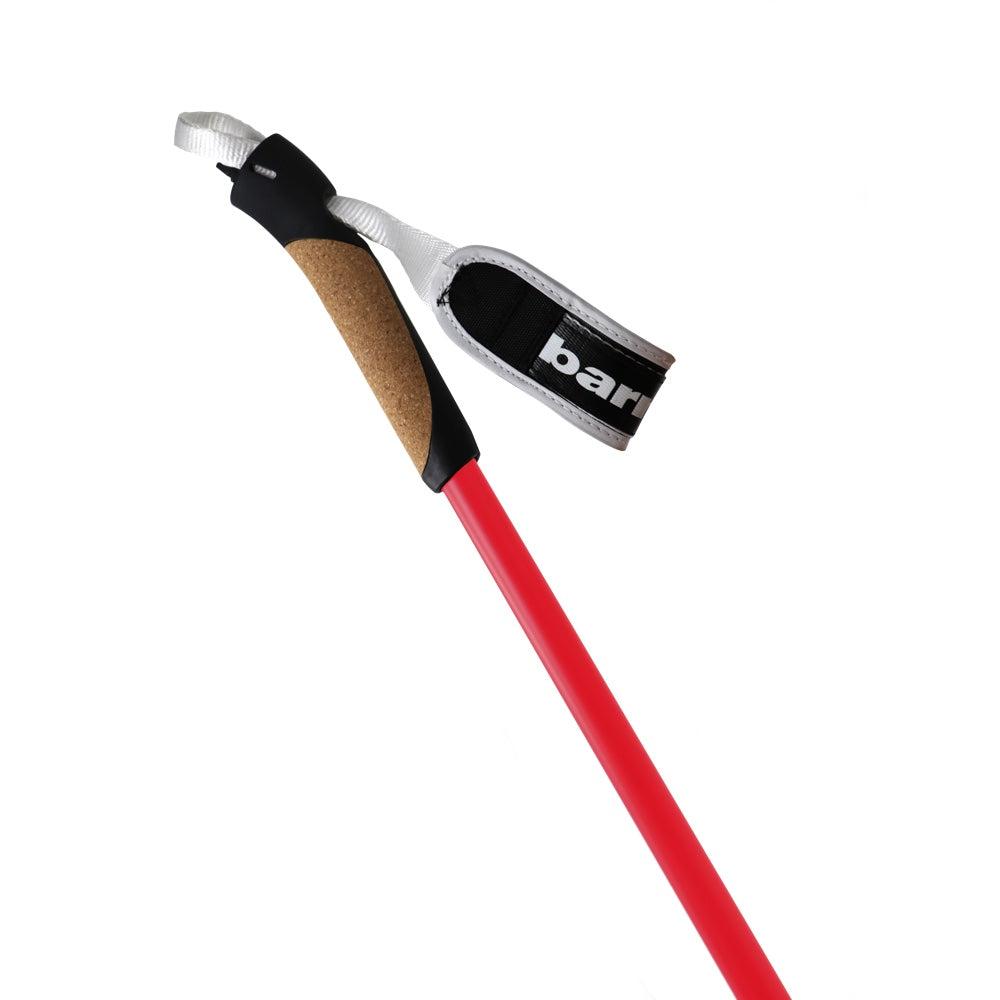 Bastones XC-09 100% carbono