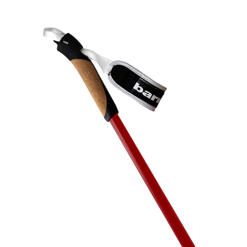 Bastones XC-09 100% carbono